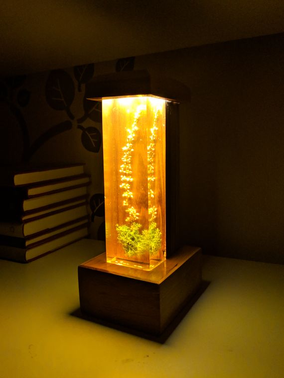 Light from above